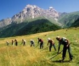 farmers