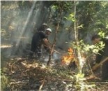 fire_vashlovani_national_park