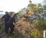 forest_fire_Artana