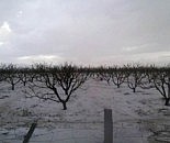 hail storm kakheti 2013-04-10 i