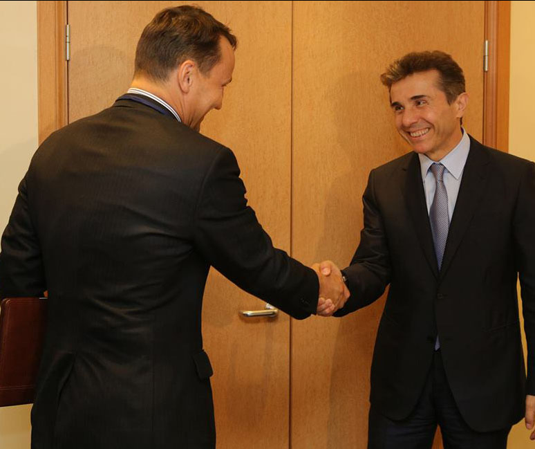 Georgia's Prime Minister meets with the Polish Foreign Affairs Minister (official photo)