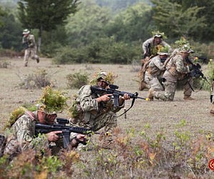 exercise_Rapid_Trident_2014_Crop