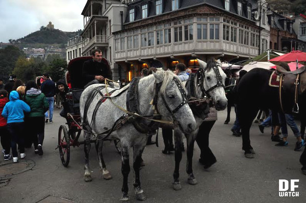 horse_and_carriage_tbilisoba_2015