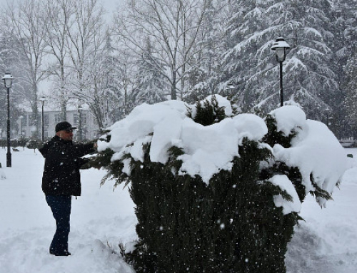 Massive snowfall causing problems in western Georgia