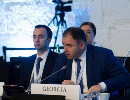 Georgia’s ruling GD party denies reports it voted for OSCE resolution condemning its democratic backsliding